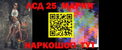 индика Моздок