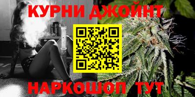 индика Моздок