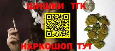 индика Моздок